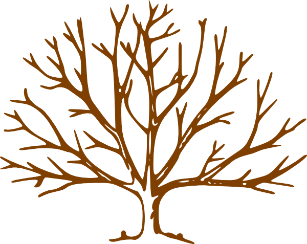 Tree With Branches Clipart (600x477)