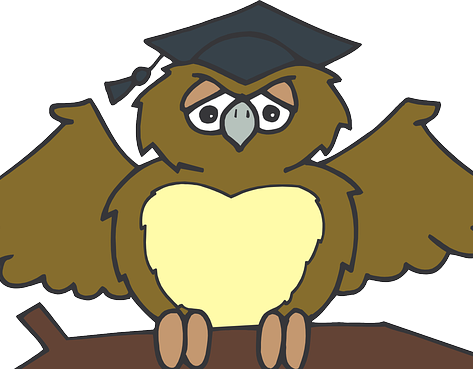 Bird Nest Clipart Free - Coruja Para Colorir (473x369)