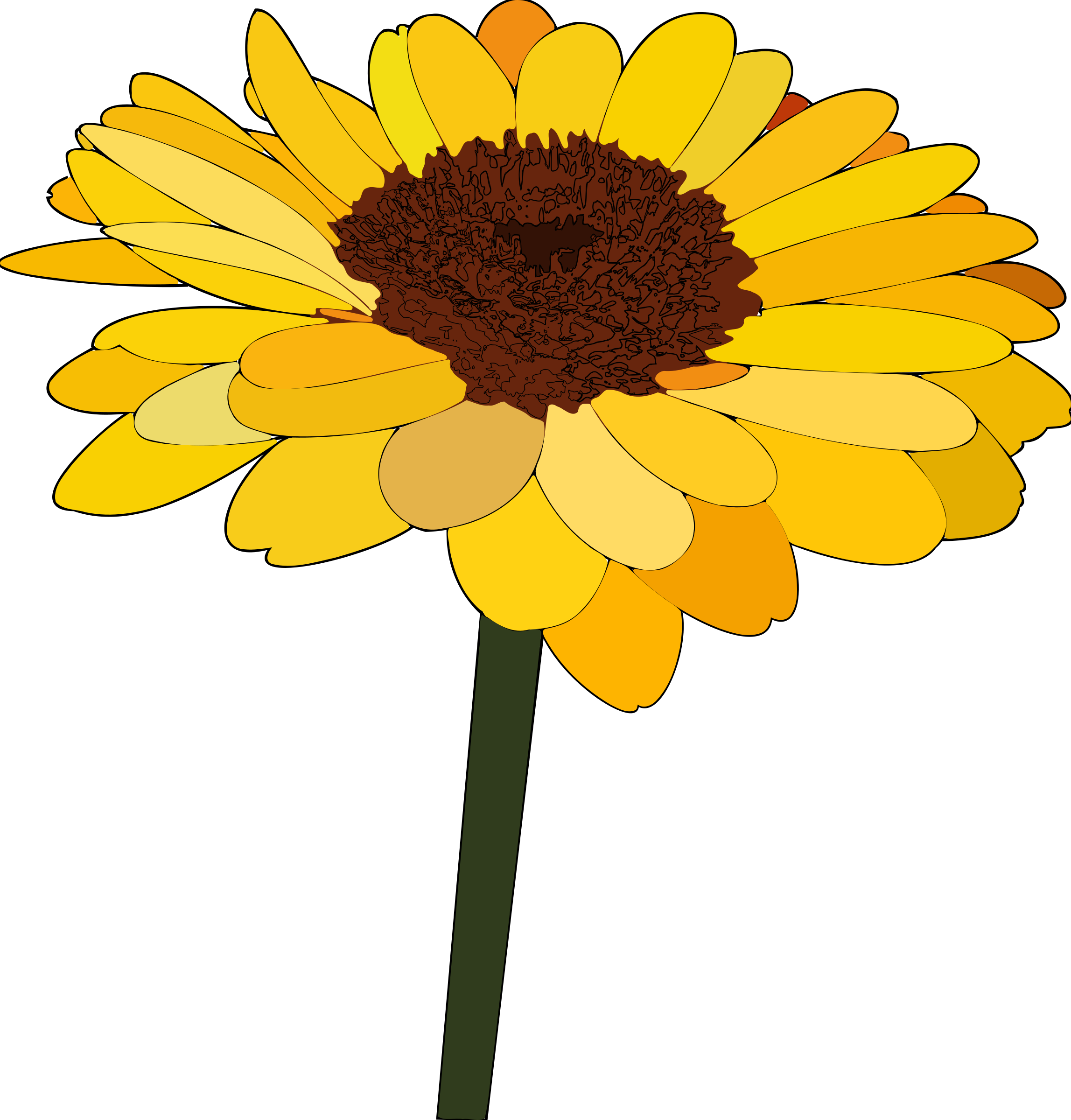 Free Science Images Free Download Clip Art Free Clip - Sunflower Cartoon (958x1002)