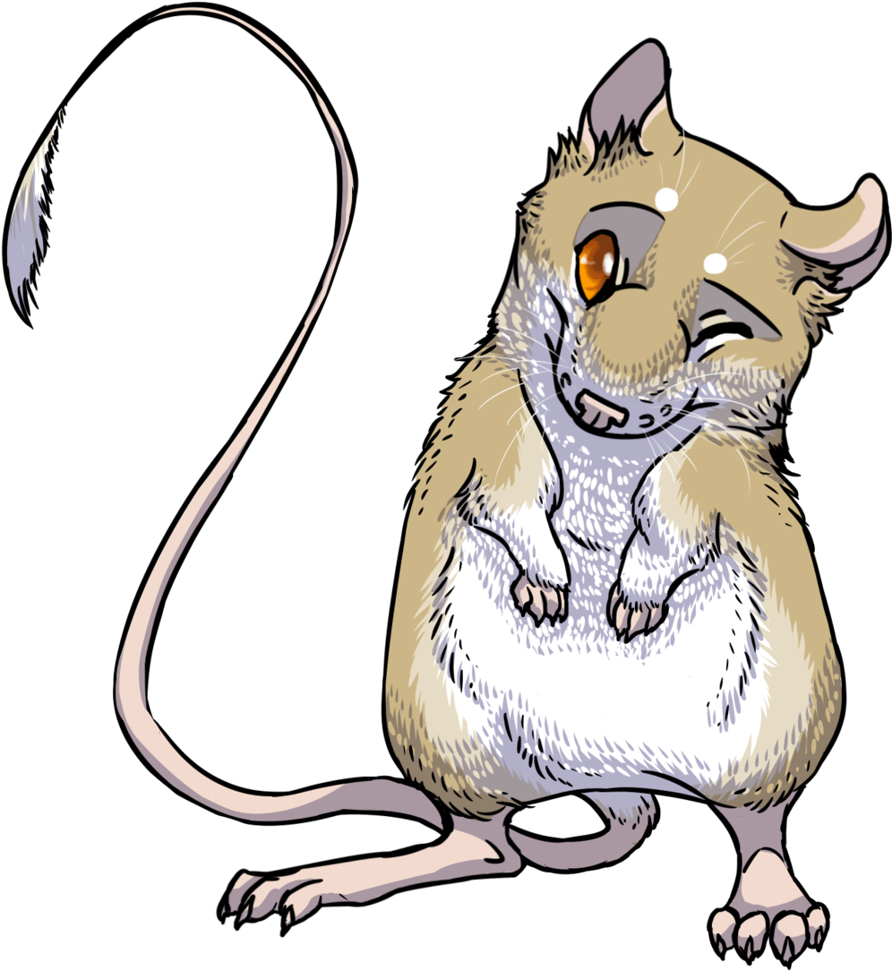Rat Clipart Kangaroo Rat - Giant Kangaroo Rat Transparent (1024x1108)
