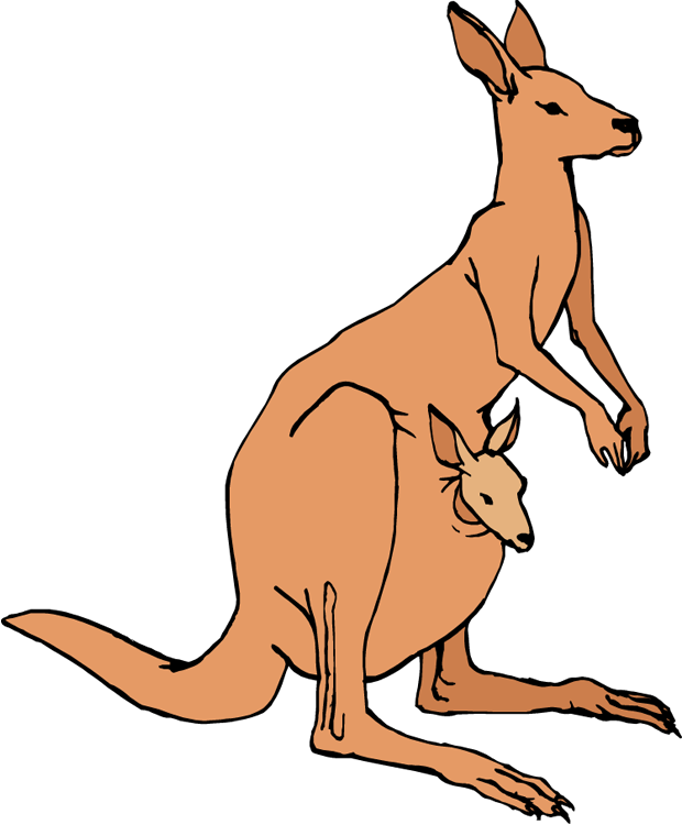 Kangaroo Clipart Black And White - Clip Art Free Kangaroo Png (620x750)