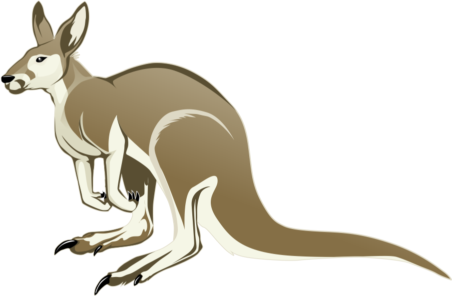 28 Collection Of Christmas Kangaroo Clipart - Clipart Kangaroos (991x655)