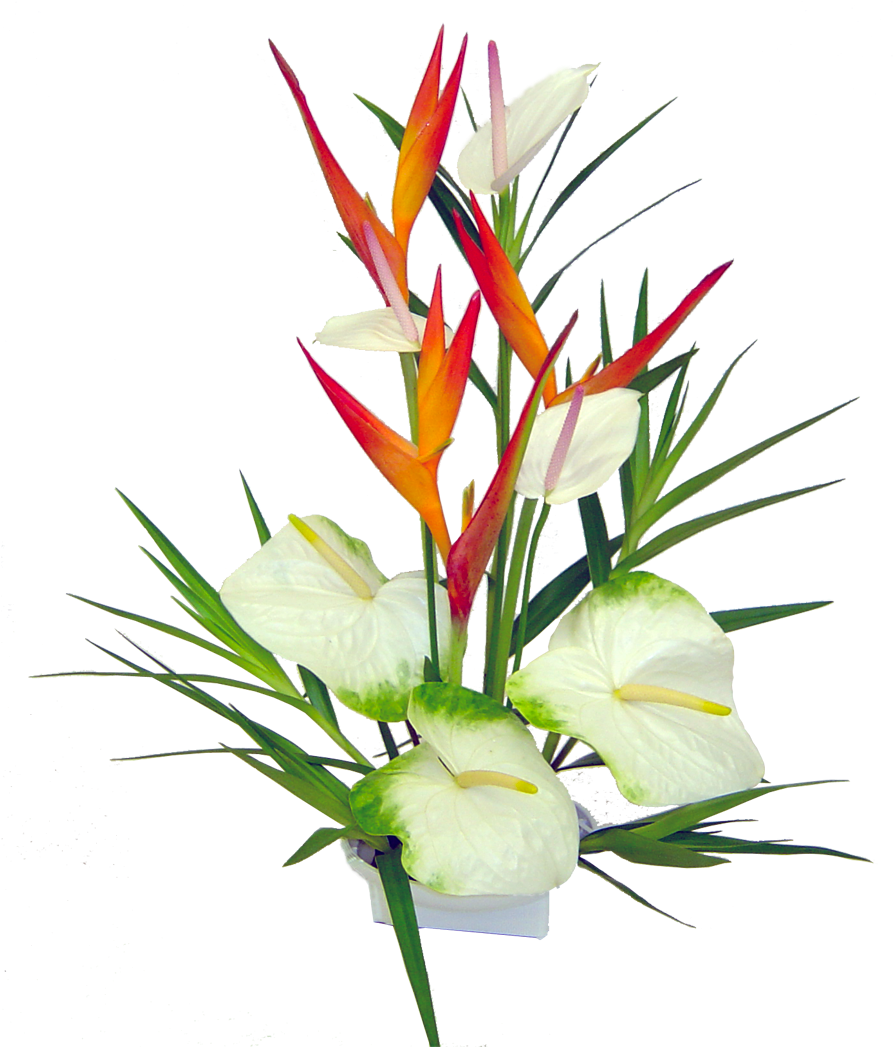 95 Previous Next - Hawaii (1200x1200)