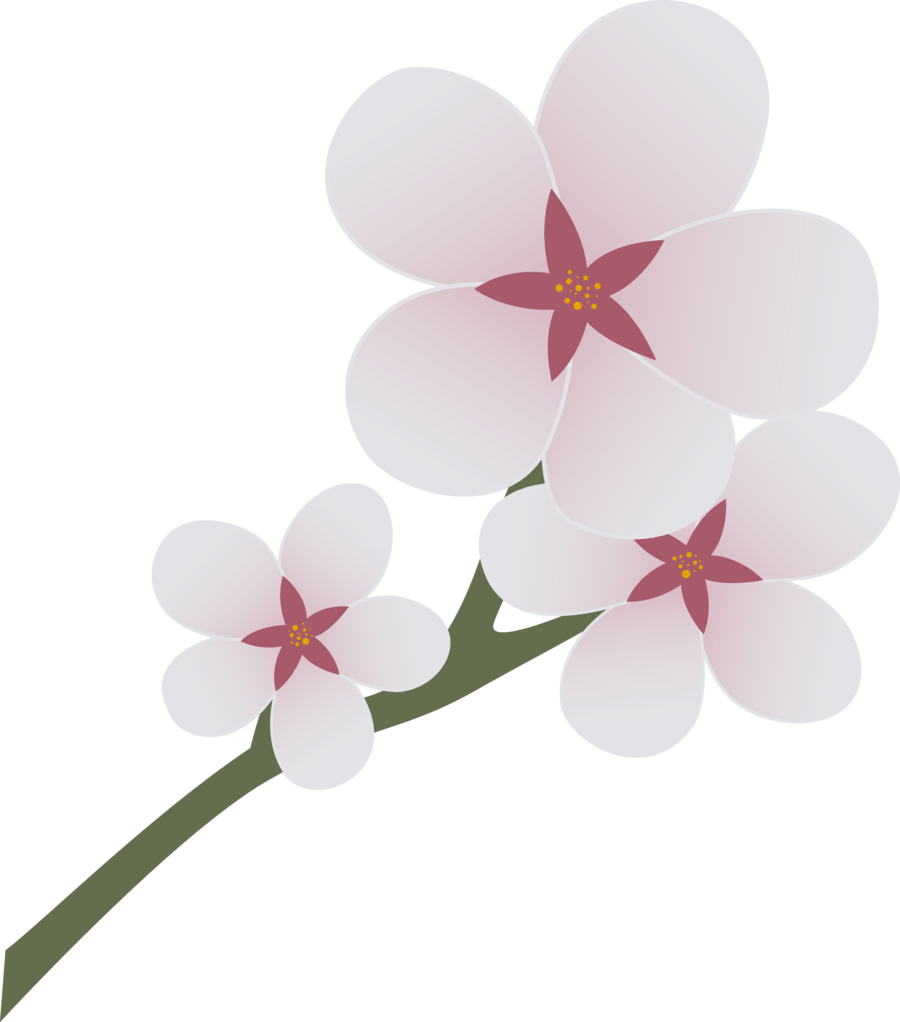 Cherry Blossom Cartoon - Cherry Blossom Cutie Mark (900x1022)