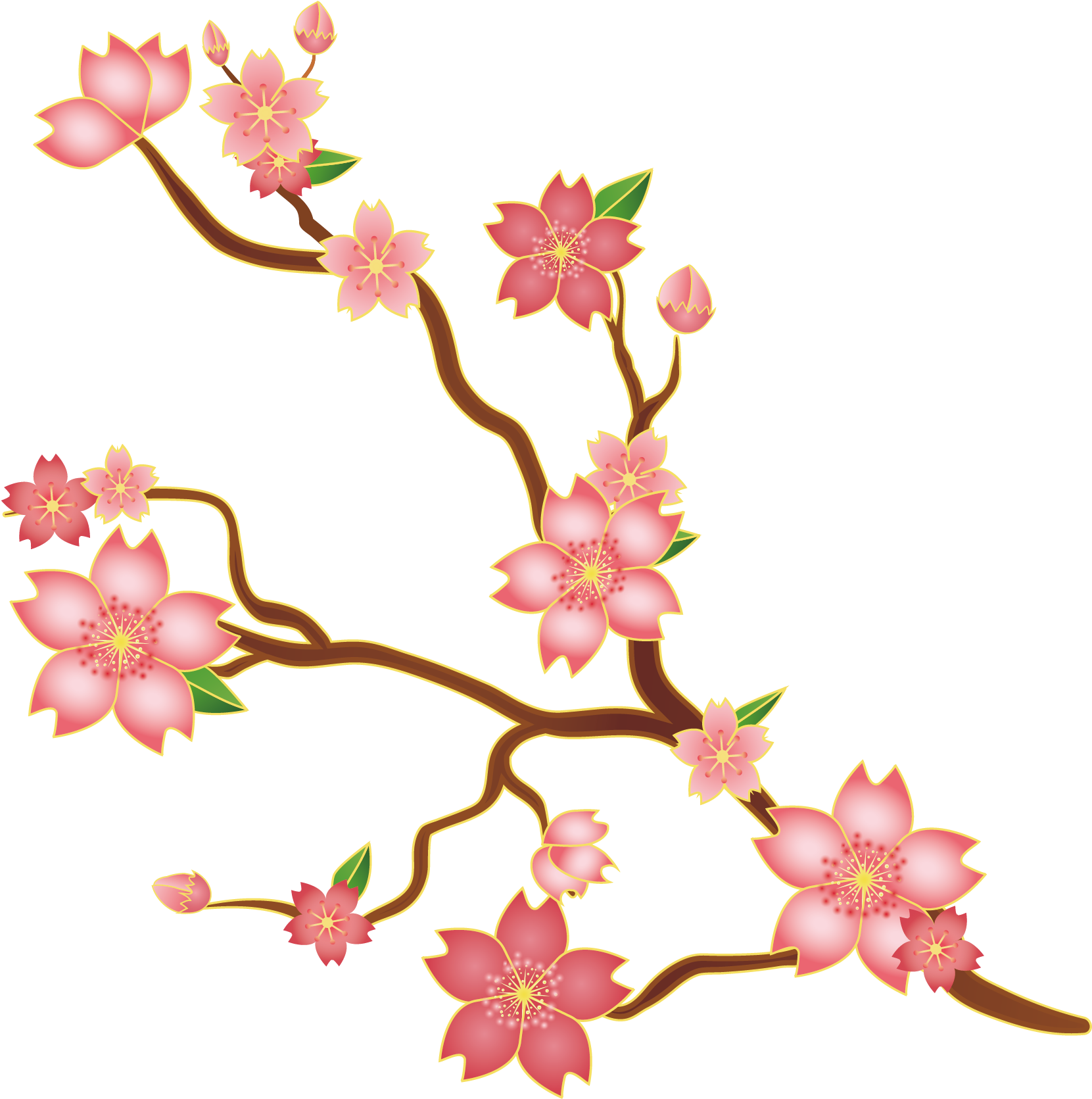 Cherry Blossom Floral Design Euclidean Vector Illustration - Cherry Blossom Illustration Png (1875x1875)