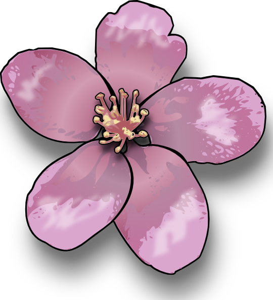 Apple Blossom Clip Art - Flower Of A Tree Clipart (540x594)