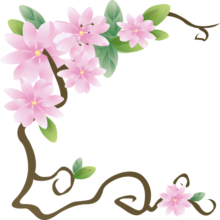 Azalea, Flowers, Spring, Bloom, Leaves - Thank You A So Much (718x720)