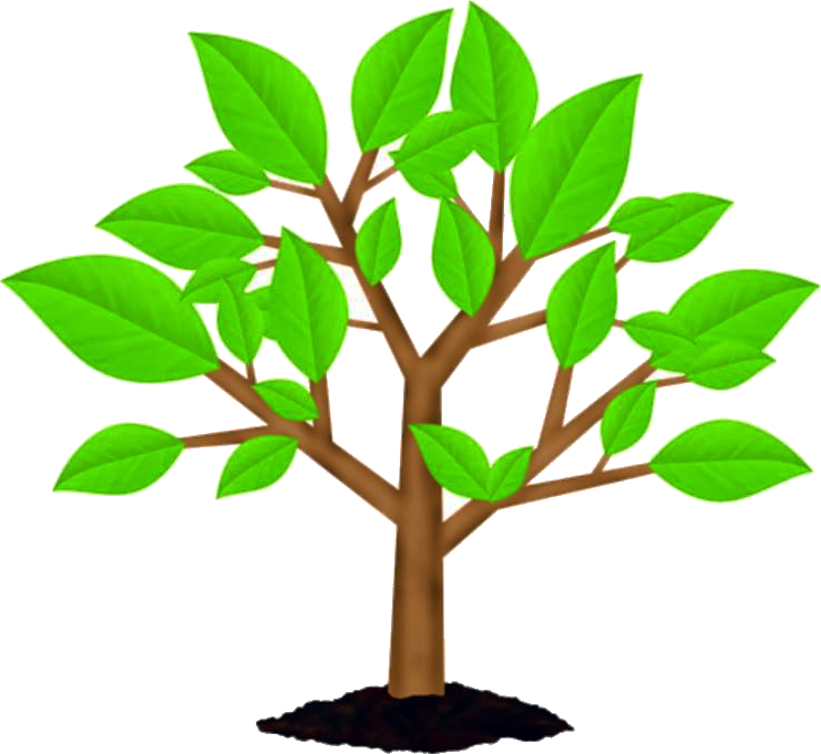 Anam Foundation Was Established With The Aim Of Building - Advantages Of Green Computing (741x681)