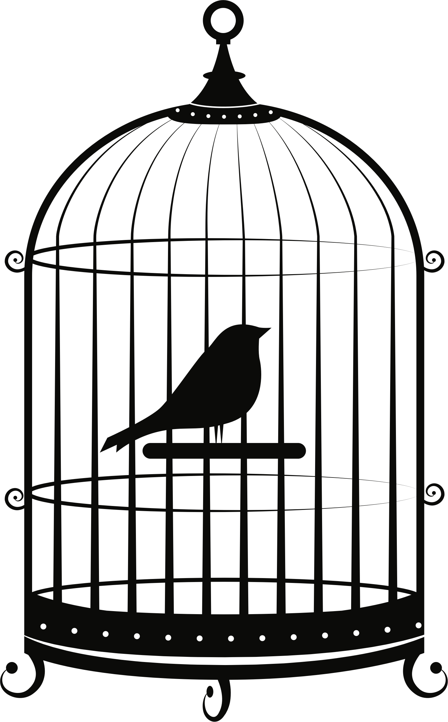 Clipart Bird In Cage - Bird Inside The Cage (1480x2383)