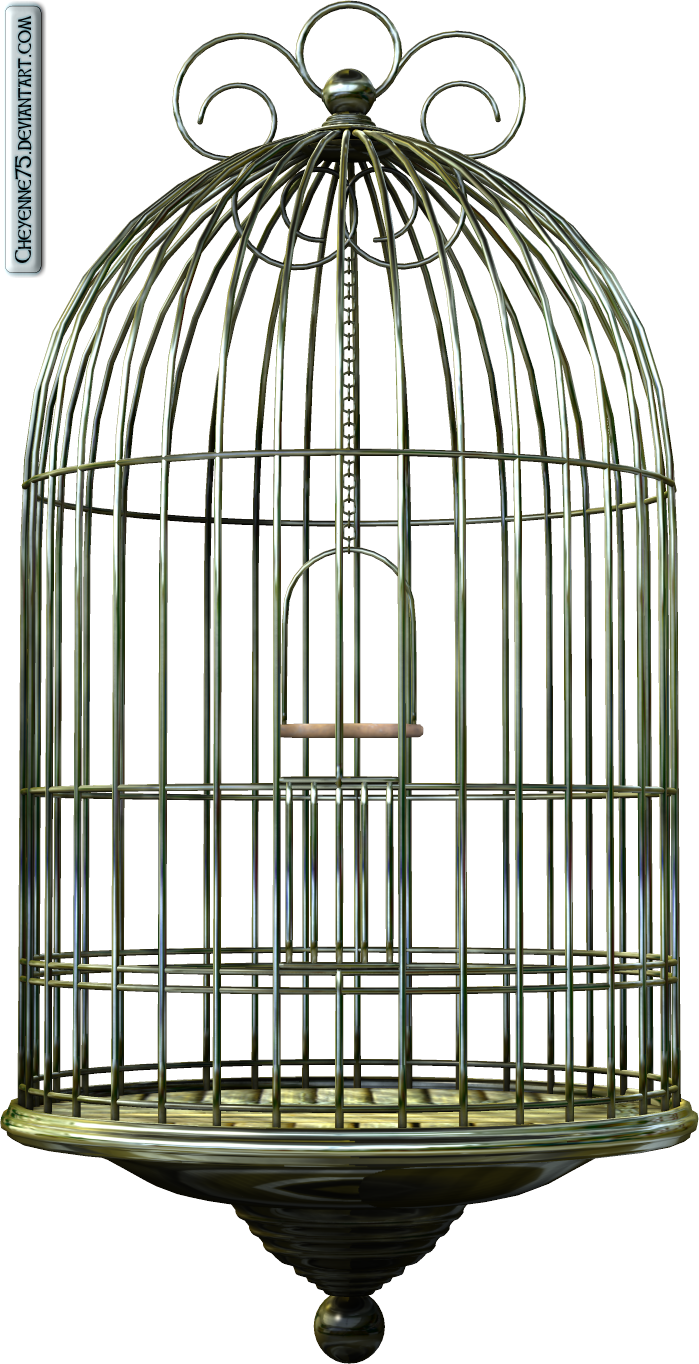 Bird Cage By *cheyenne75 On Deviantart - Cage (699x1364)