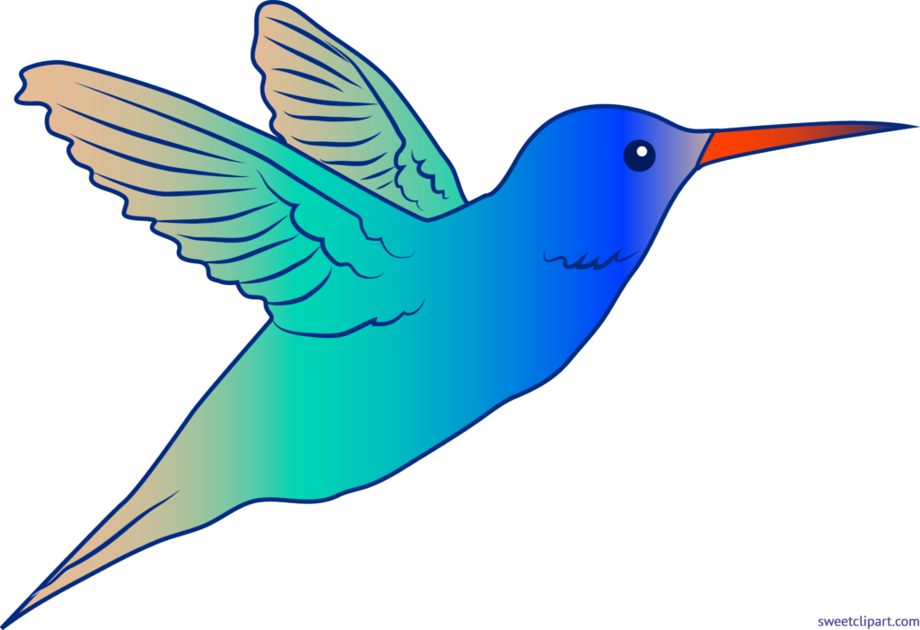 Cute Hummingbird Illustration - Flying Bird Clip Art (1024x701)