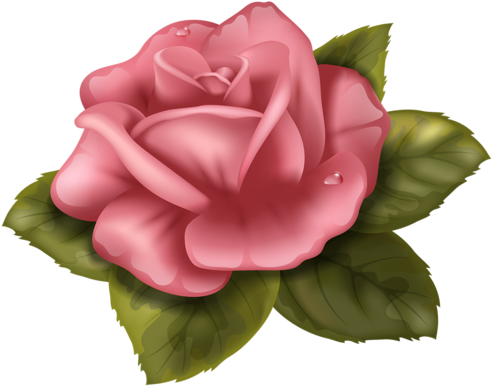 Rose Drawingswafer Papertrue Colorscredit - Perfect Rose Cross Stitch Pattern (500x402)