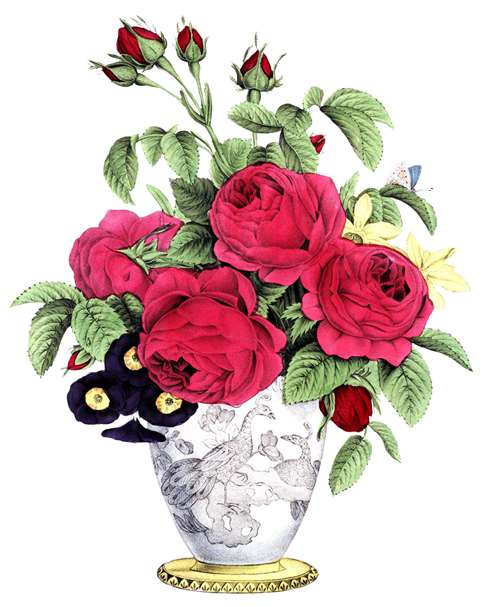 Vase With Red Roses Other Flowers Bouquet - Rose With Vase Drawing (728x886)