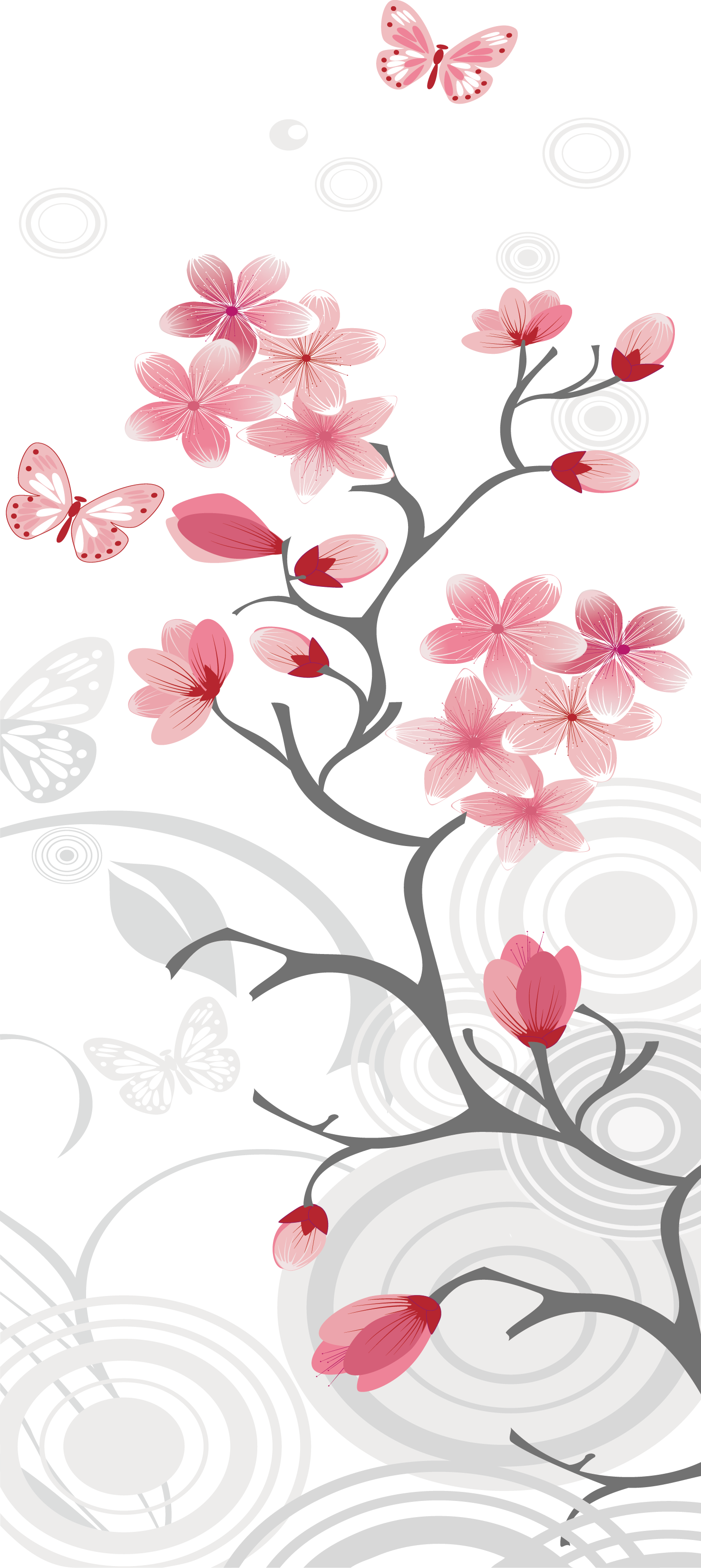 Cherry Blossom Clip Art - Cherry Blossom Background (1474x3297)