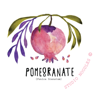 Floral18 Floral19 Floral2 Lisajanedhar176 - Watercolour Pomegranate Art Print (375x402)