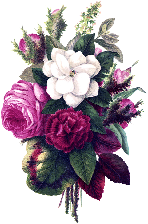 Flower Bouquet Pink Flowers - Purple Flower Vintage Png (528x768)