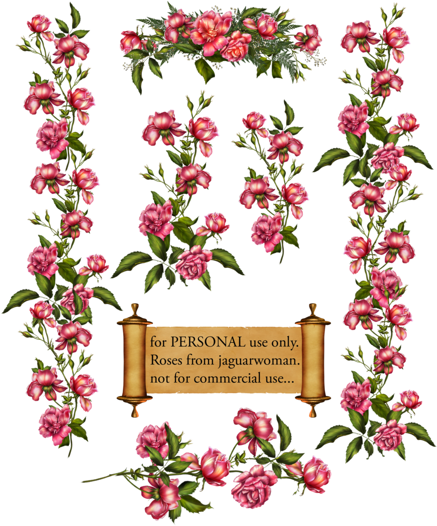 Rose Bush Clipart Rose Vines - Roses Vines Png (900x1071)