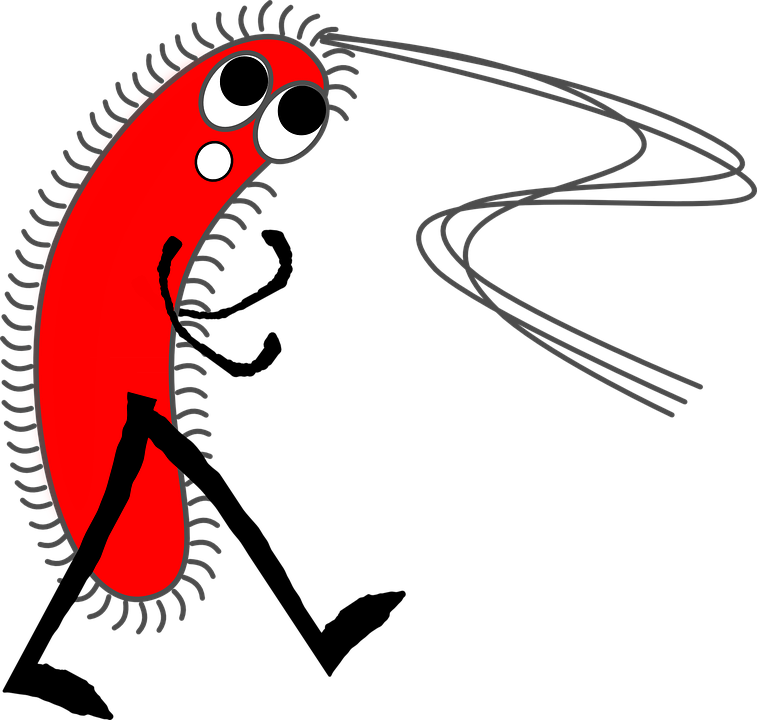 Germ Cartoons 11, Buy Clip Art - Bactérias Pmg (757x720)