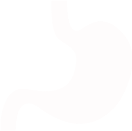 Gastroenterologist In Orlando, Fl - Digestion (350x350)