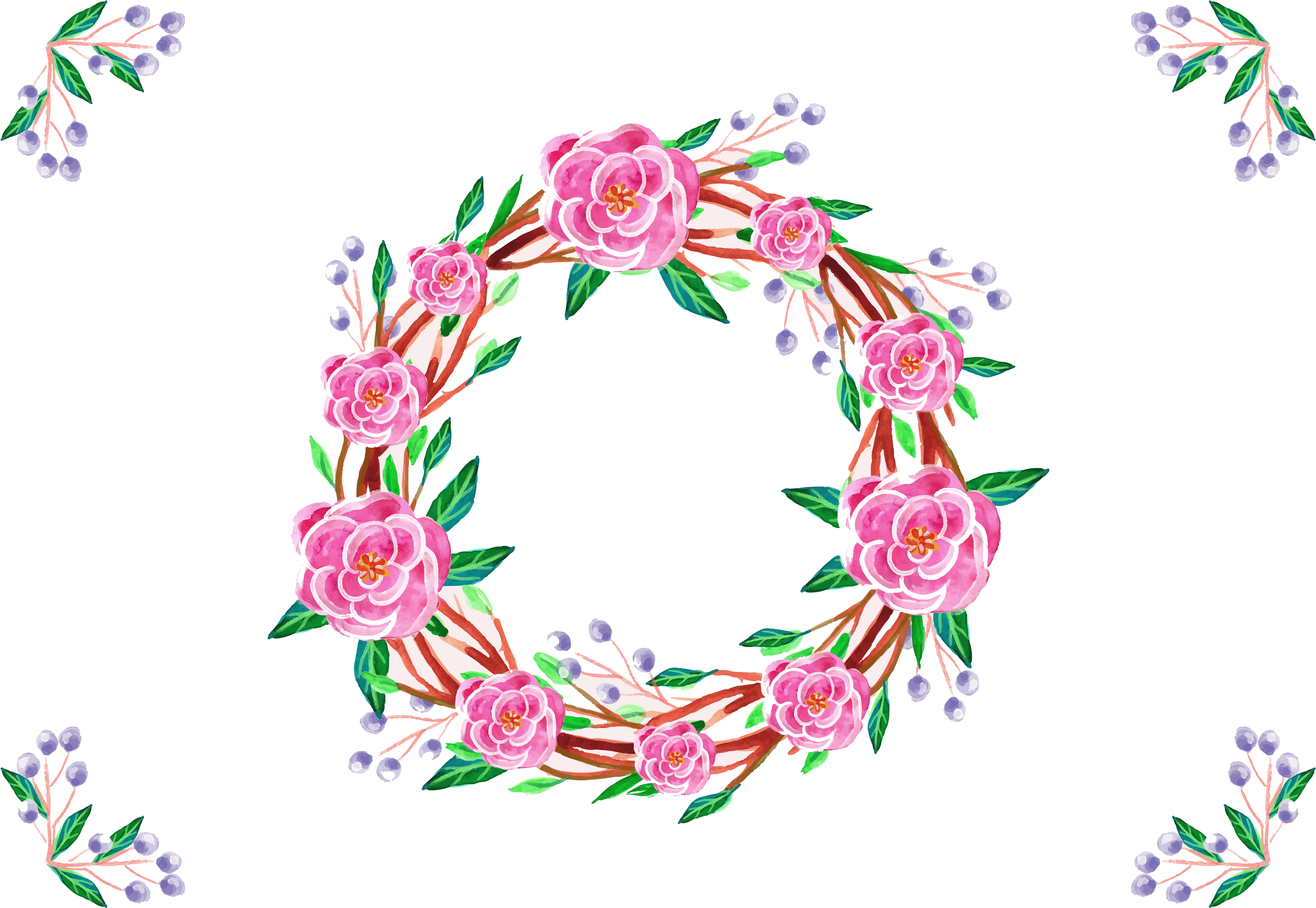Japanese Camellia Flower Watercolor Painting - Calligraphy Flower Border Designs (5833x4083)