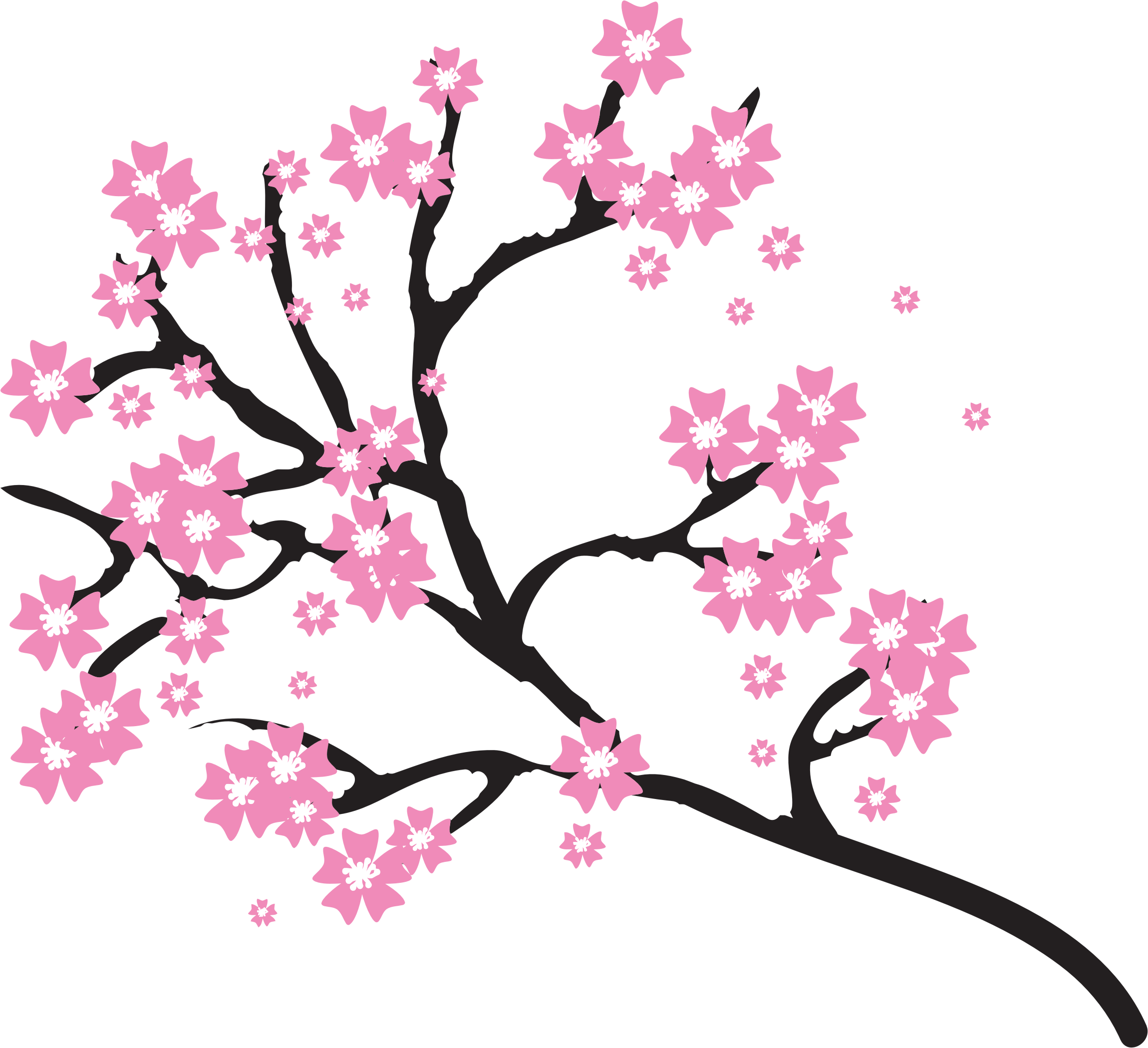Big Image - Cherry Blossom Tree Clipart (2300x2100)