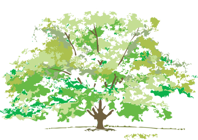 Web Design & Development - Spring Trees Clip Art (640x454)