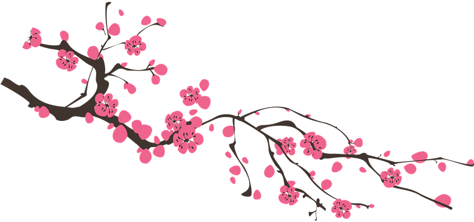 Cherry Blossom Clip Art 19, - Dia Da Mae 2018 (960x480)