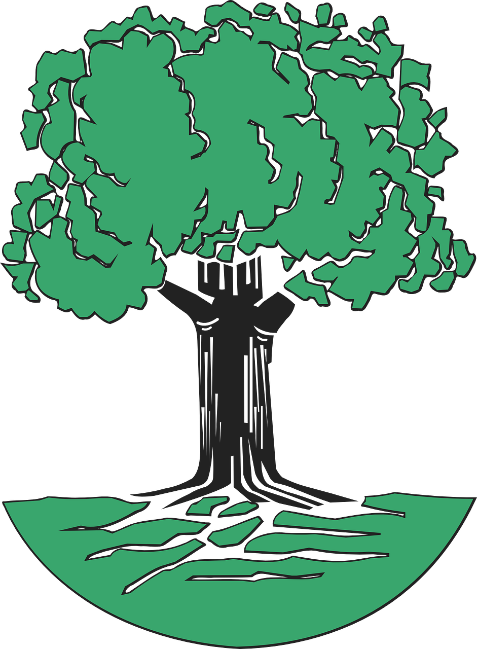 Tree Clip Art At Clipartimage - Oak Tree Clip Art (941x1280)