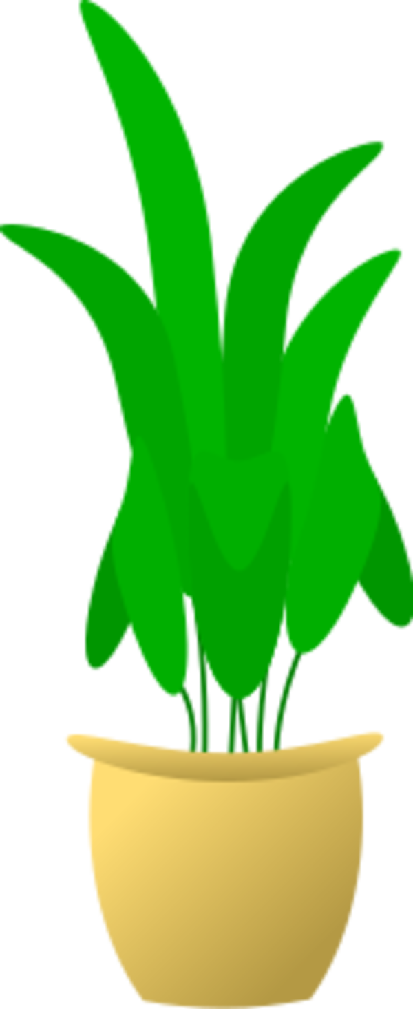 Pot Plant Clipart Potted Plant - Plant In Pot (600x1466)
