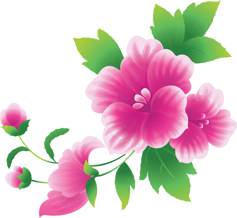 Large Pink Flowers Clipart - Clip Art Flowers Png (800x736)