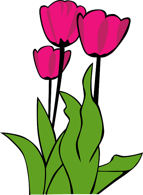The Netherlands Is The Worlds Largest Commercial Producer - Tulip Clip Art (472x640)