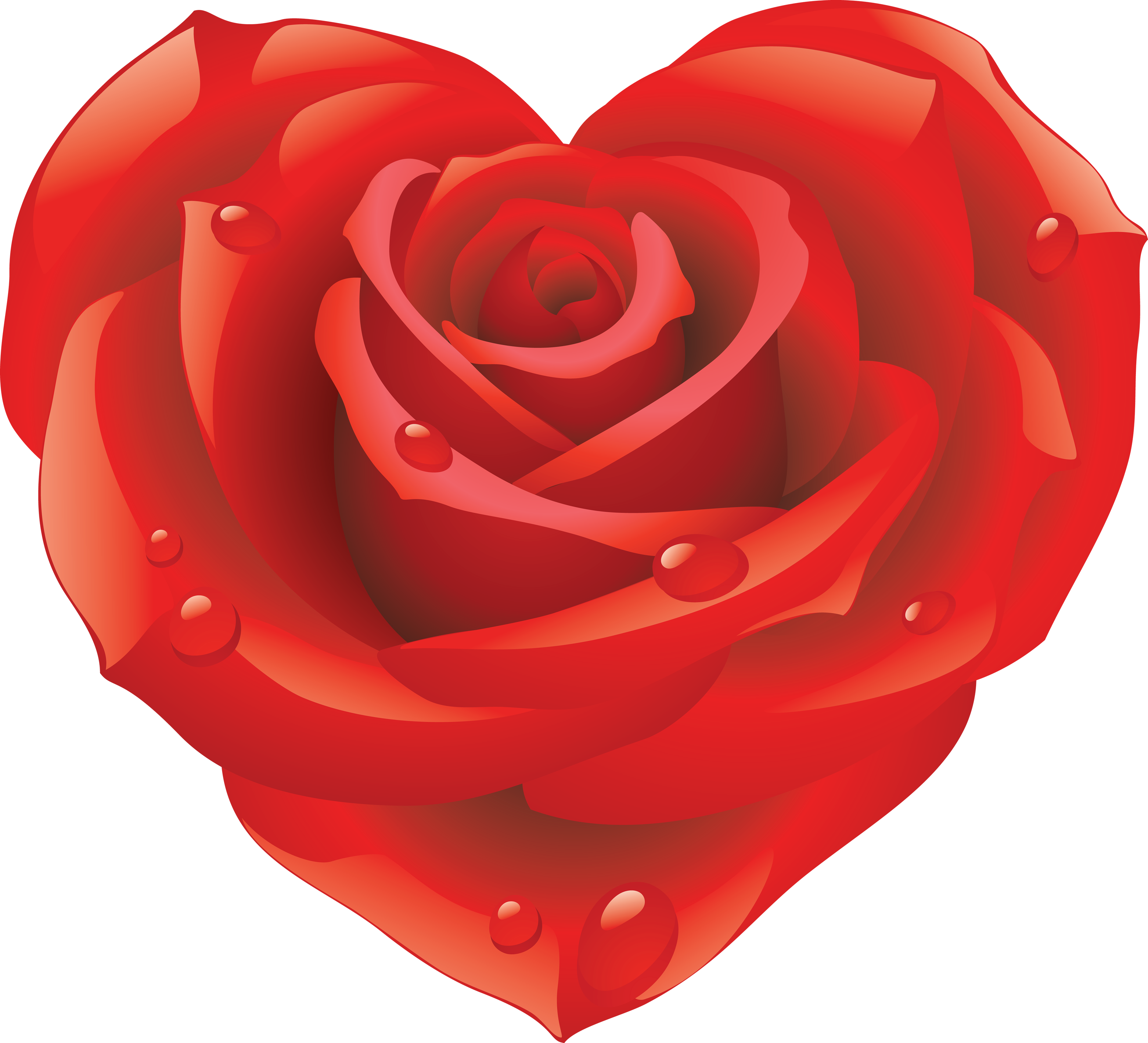 Red Flower Clipart Different Flower - Png Rose (3125x2840)