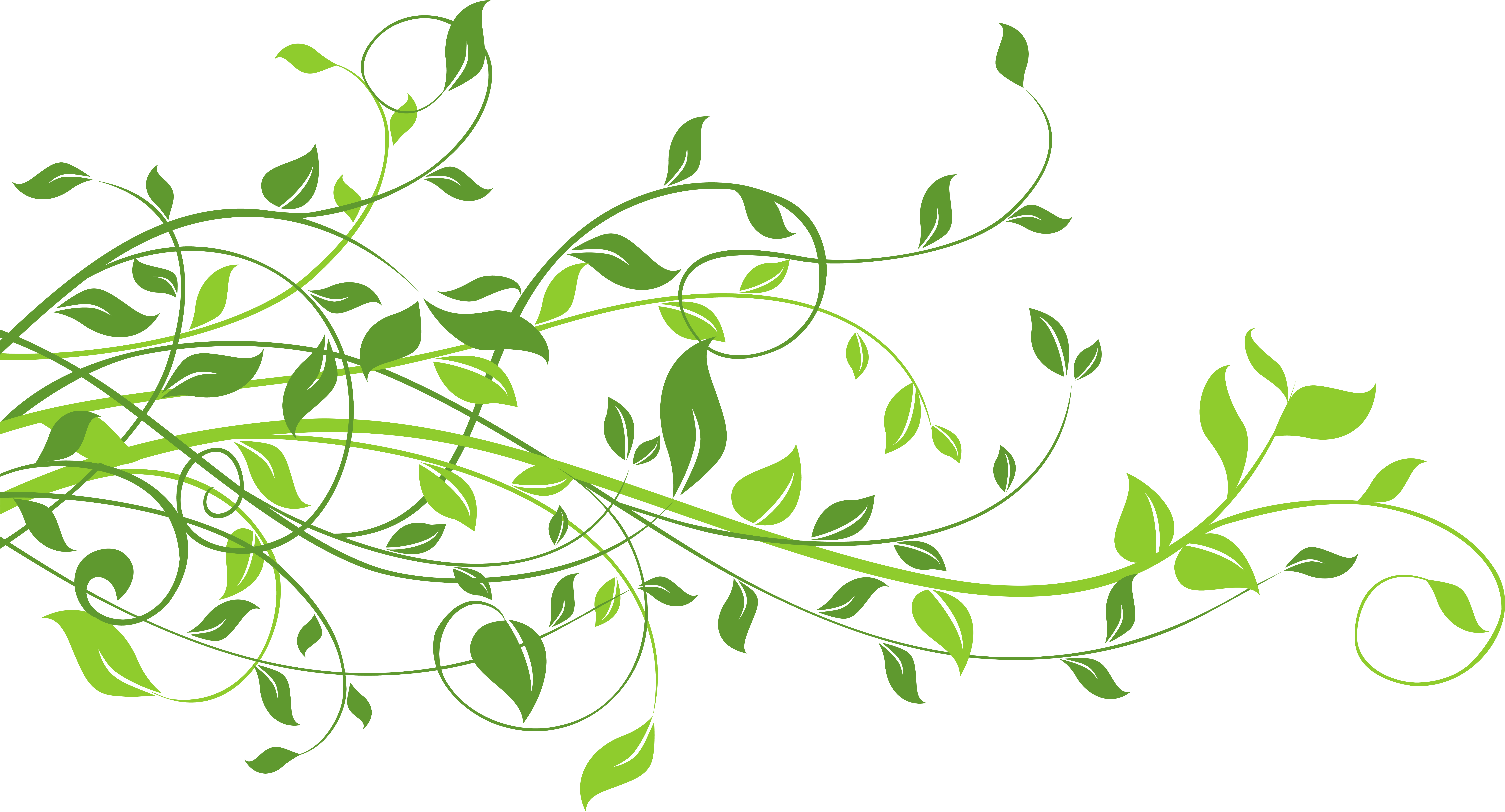 Spring Leaves Clipart Clipground - Spring Leaves Clipart Clipground (9508x5221)