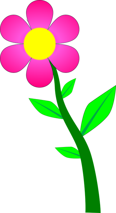 Pink Cartoon Flowers - Flower Desenho (439x800)