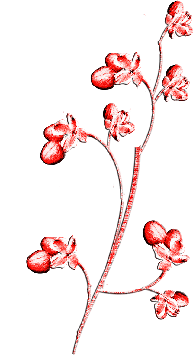 Japanese Party Clip Art - Illustration (929x1600)