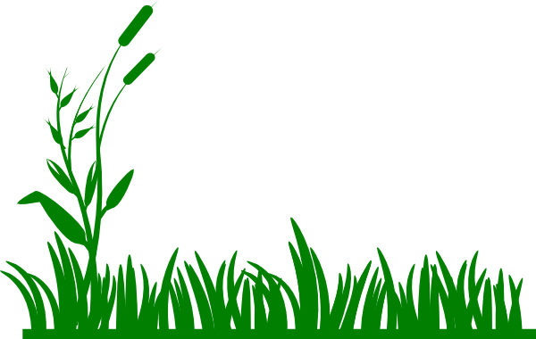 Marsh Clipart - - Jungle Grass Clipart (600x380)