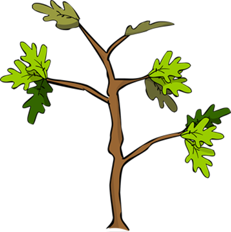 Producers - Plantas Productores Para Colorear (458x460)