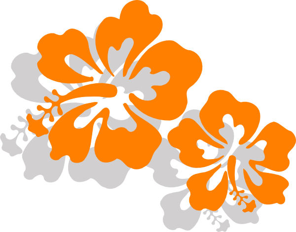 This Free Clip Arts Design Of Hibiscus Png - Hibiscus Flower Clip Art (600x471)