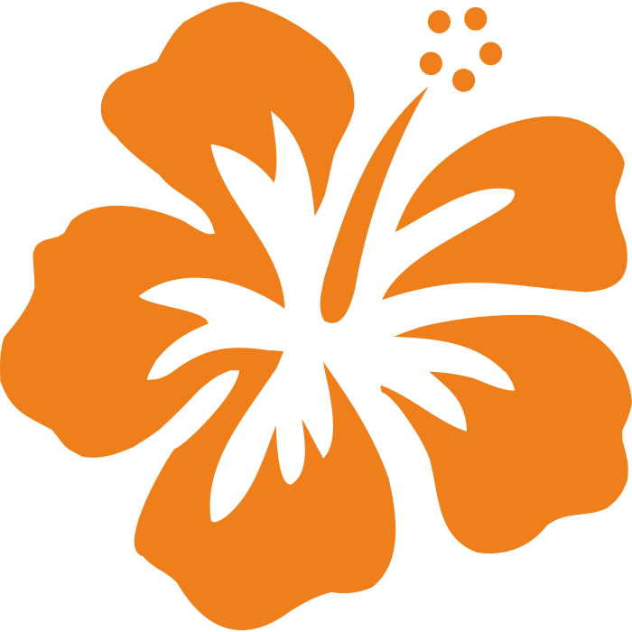 Hibiscus Sur Transfert - Hawaiian Flower Graphic (700x700)
