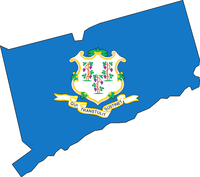 America Flag, Outline, States, State, United, America - Flag, Connecticut State Flag, 4'x6' Nylon (640x566)