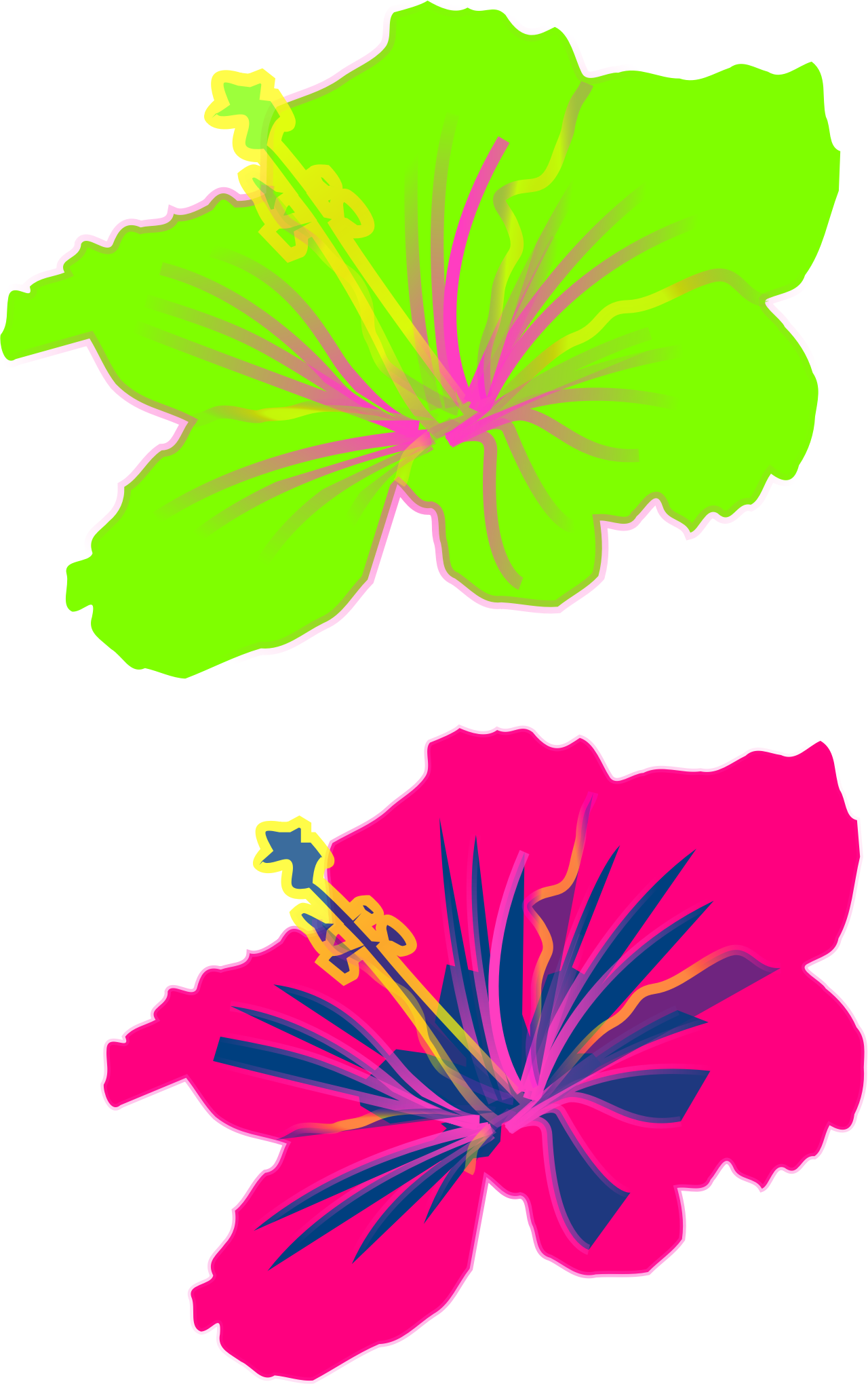 Shoeblackplant Hawaiian Hibiscus Clip Art - Shoeblackplant Hawaiian Hibiscus Clip Art (1280x2040)