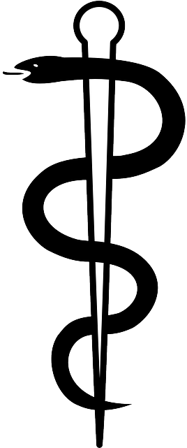 Doctor, Hospital, Pharmacy, Medicine, Snake, Viper - Aesculap Staff (320x640)