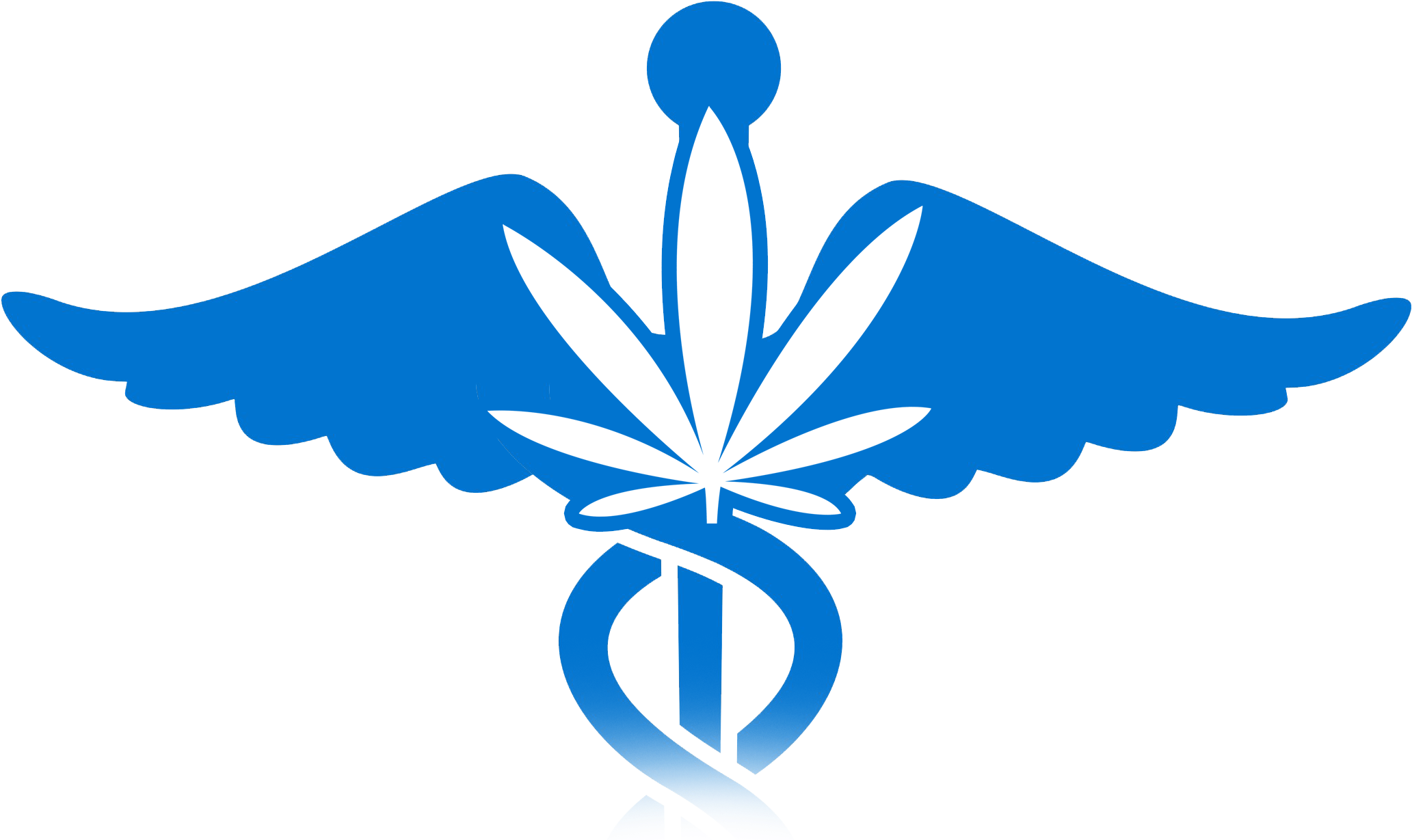 Schwartz Medical Group Has Been Approved By The Commonwealth - Emblem (2190x1271)