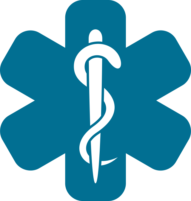 Quality, Experienced Providers - Star Of Life Symbol (640x672)