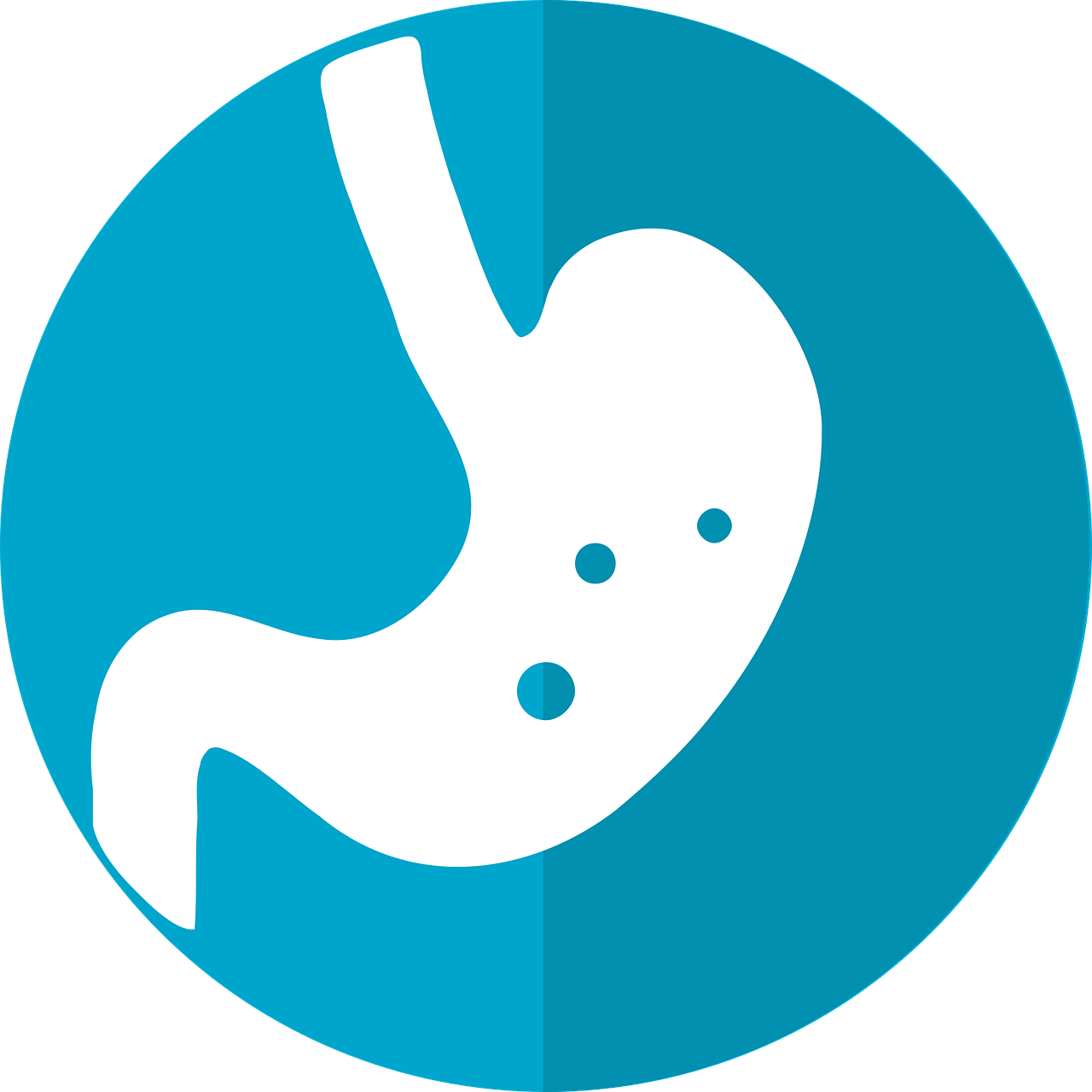 What You Should Know - Stomach Icon (1280x1280)
