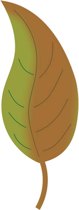 Fall Leaf Drawing, Autumn Leaf Clip Art - Autumn Leaves Clipart Png (349x827)