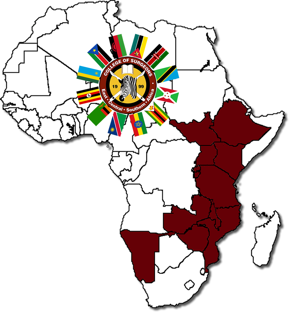 The College Of Surgeons Of East, Central And Southern - Printable Blank Map Of Africa (956x1032)