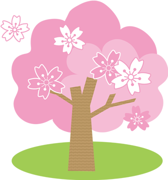 Cherry Blossom (615x453)
