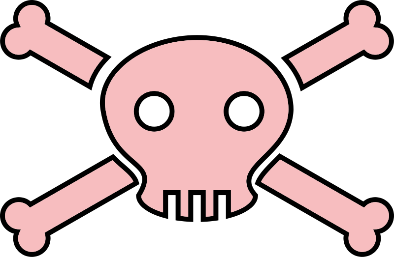 Pink Pirate Flag (800x523)