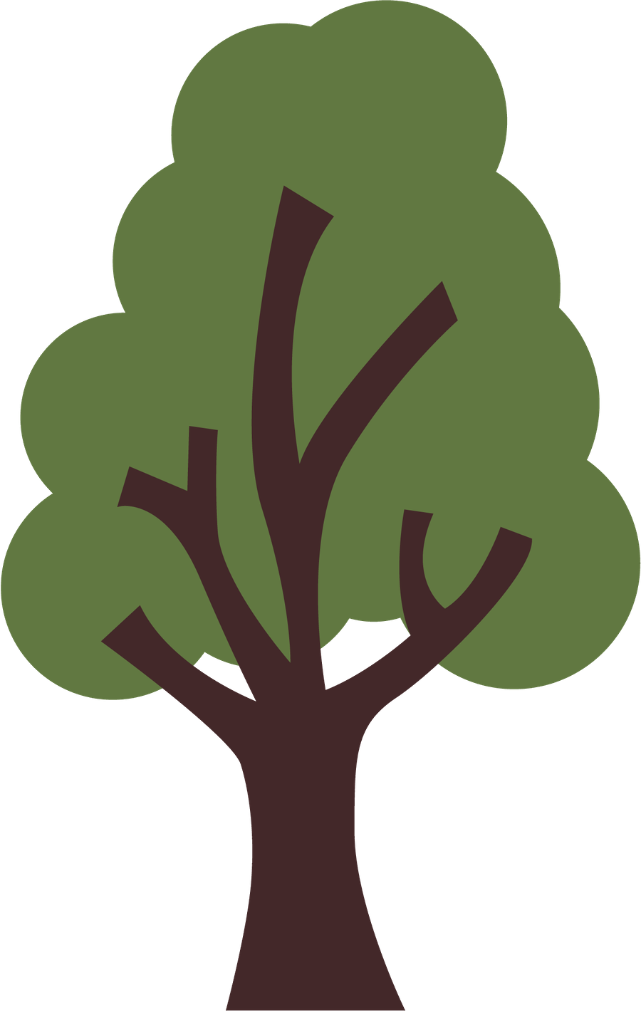 Desenho De Arvore, Minha Pesquisa, Três Porquinhos, - Tree (900x1421)